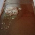 Cooksnap Sarfina Abdul Wahid semasa beliau membuat Agar-Agar Coklat.