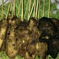Cooksnap dari Elisa Rizona Nasution untuk resep Sate Ayam Bumbu Ketumbar