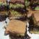 Cooksnap dari Ramadinila untuk resep Martabak manis teflon