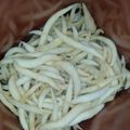 Cooksnap dari Mhd Nurohcman Rdem untuk resep Cheese stick