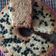 Cooksnap dari Nani sari untuk resep Bolu pisang keju panggang