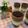 Cooksnap dari Faustina Bertha untuk resep Avocado Oreo Dessert