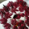 کوک اسنپ 😍محبوبه یغمایی💕 بعد از امتحان کردن پاستیل خانگی هدیه بانو.