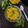 Sukla Sil's cooksnap of when they made ভেজিটেবল ফ্রাইডরাইস (Vegetable Fried rice Recipe ln Bengali).