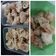 Cooksnap dari ummuHafidz untuk resep Pangsit Goreng ala Bakmie GM