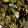 Vaishali Prajapati 's cooksnap of when they made અળવી ના પાત્રા (Arvi Patra Recipe In Gujarati).