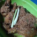 Cooksnap dari Al Fatih Ummi untuk resep Ayam serundeng kelapa