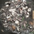 Cooksnap dari Ifni Fitriani untuk resep Cumi Masak Kuah Tinta Hitam (Blakutak)