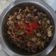 Cooksnap dari Fardiah Ummu Ali untuk resep Kerang dara saus tiram