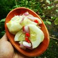 Cooksnap dari Annisa sr untuk resep Anyang Timun Padang