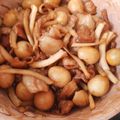 Cooksnap của Nhà Vân khi họ làm theo món Thịt kho tàu với trứng cút