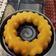 Cooksnap dari Lannywati Winarto untuk resep Puding mangga coklat nutrijell mudah #homemadebylita