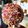 Sally Strong's cooksnap of when they made Bonfire Night Toffee Apples.
