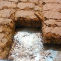 LADYINCOGNITO's cooksnap of when they made Apple Oatmeal Cookies.