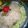 Nosheen Nadeem's cooksnap of when they made Beef yakhni pulao.