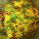 Aarya का कुकस्नैप जब उन्होंने पोहा (Poha recipe in hindi) बनाया था।