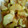 El cooksnap de MaryGlory cuando hizo Calabacín con salsa de soja (Lékué).