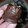 El cooksnap de ● Cindy Evans👩‍🍳 cuando hizo Delicias de coco y leche condensada (bombones).