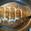 El cooksnap de cordon castro cuando hizo Pescado frito al coco.