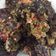 Cooksnap dari Adindi untuk resep Paru Balado