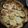 El cooksnap de Jorge Kelm cuando hizo Tarta de atún y zucchini.