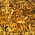 Cooksnap dari Ida Yanti untuk resep Ayam suwir ala bunda vita