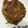 Cooksnap dari Laurin Olin untuk resep Rosti with a mushroom creamy souce