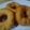 Cooksnap dari Finari Kitchen untuk resep 1. Donat Kentang