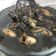Cooksnap dari Sevti Wijaya untuk resep Cumi tinta hitam