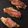 Cooksnap de Chounette sur la recette Endives gratinées au Jambon de Serrano