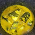 Cooksnap Intan Sofia semasa beliau membuat Patin masak tempoyak rasa ori pahang.