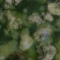 Cooksnap dari Elpida Yanti untuk resep Ayam lado mudo (ayam masak hijau)