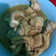 Cooksnap dari Ningrum Wahyuningrum untuk resep Fillet ayam kecap