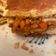 La cooksnap de Mar Vilches Carrasco cuando cocinó Sloppy Joe