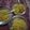 Janti Tayal का कुकस्नैप जब उन्होंने मैगी(maggi recipe in hindi) बनाया था।