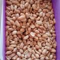 Cooksnap dari Mamah Elis untuk resep Kacang Bawang Renyah (kering tidak berminyak)