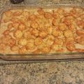 bryan.r.cummins's cooksnap of when they made Beef Strogan-tot Hot dish.