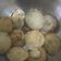 Rekha Pandey का कुकस्नैप जब उन्होंने अप्पे (Appe recipe in hindi) बनाया था।