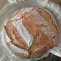 Cooksnap από 🌷Μαίρη Κωστόπουλου🌷 στη συνταγή Ψωμάκι 🍞 στη γάστρα