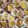 just.simply.kim's cooksnap of when they made Mom's Tuna Macaroni Salad.