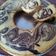 Cooksnap dari Nurvita Burase untuk resep Marble Butter Cake