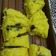 Cooksnap dari Fulla untuk resep 07. Bolu Jagung Manis, Lembut