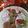 Saira Abdullah's cooksnap of when they made Shami kebabs.