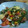 El cooksnap de brunosky32 cuando hizo Ensalada de salmón ahumado para Navidad.