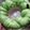 Cooksnap dari ida bunda danish untuk resep Choco Pandan Wool Roll Pao