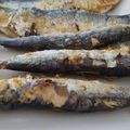 El cooksnap de Becky cuando hizo Sardinas al horno fáciles en 20 minutos.