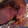 liz's cooksnap of when they made Glazed Ham Joint.