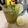Cooksnap από Sitronella στη συνταγή Μοχίτο-mojito 🍹