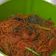 Cooksnap dari Asih untuk resep Bihun goreng jawa ala abang abang
