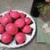 Cooksnap dari Yenny Megawati untuk resep Kue ku (kue tok)